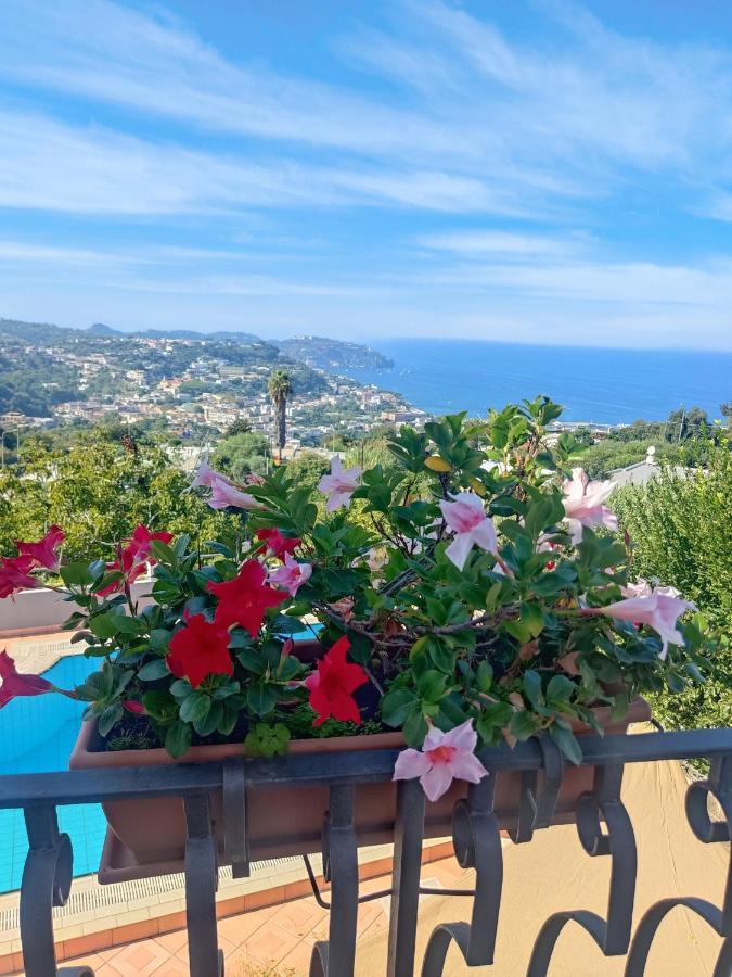 Hotel Ape Regina Casamicciola Terme Eksteriør bilde
