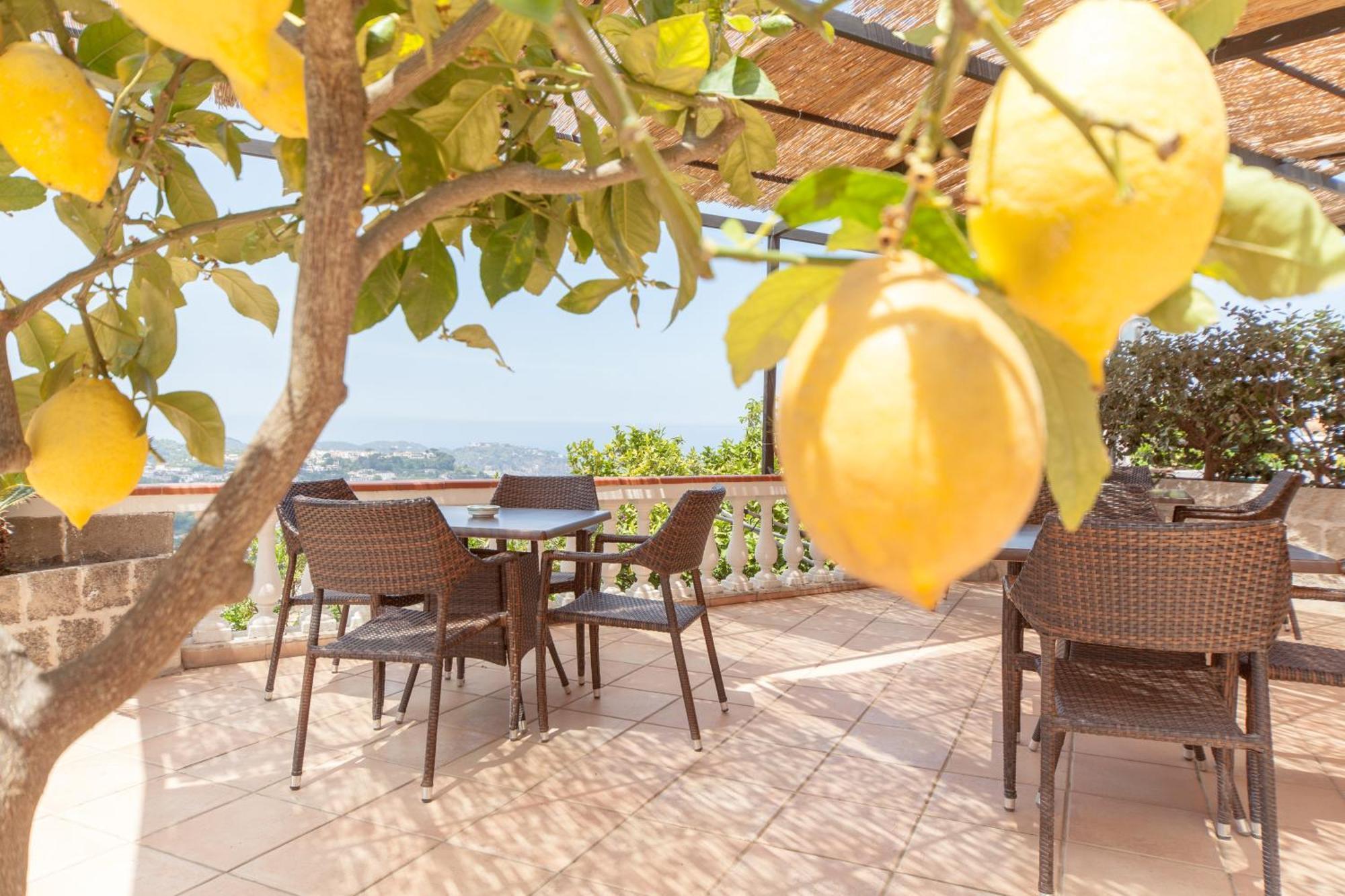 Hotel Ape Regina Casamicciola Terme Eksteriør bilde
